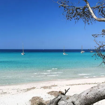 Suarella-1 By Interhome