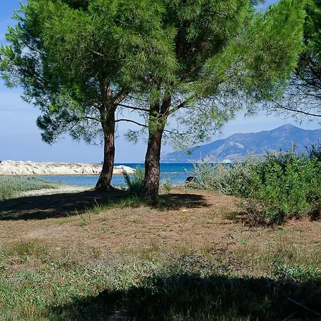 Apartment Suarella-1 By Interhome Saint-Florent (Corsica)