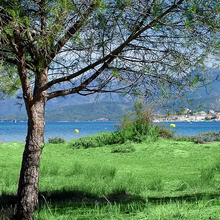 Suarella-1 By Interhome * Saint-Florent (Corsica)