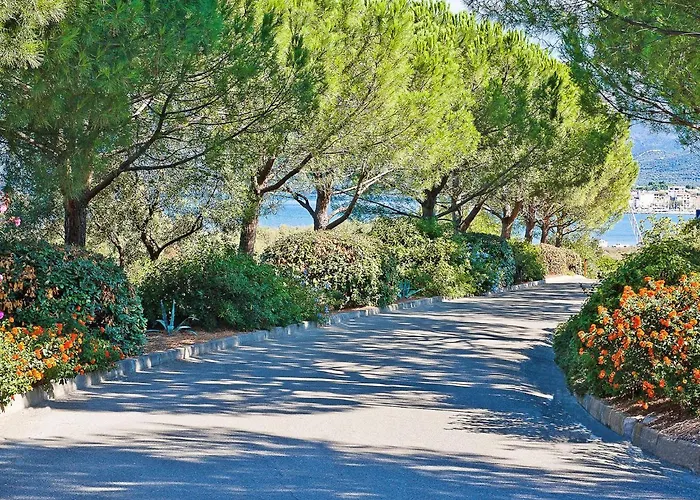 Suarella-1 By Interhome Apartment *