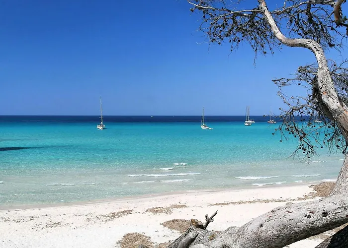 Suarella-1 By Interhome