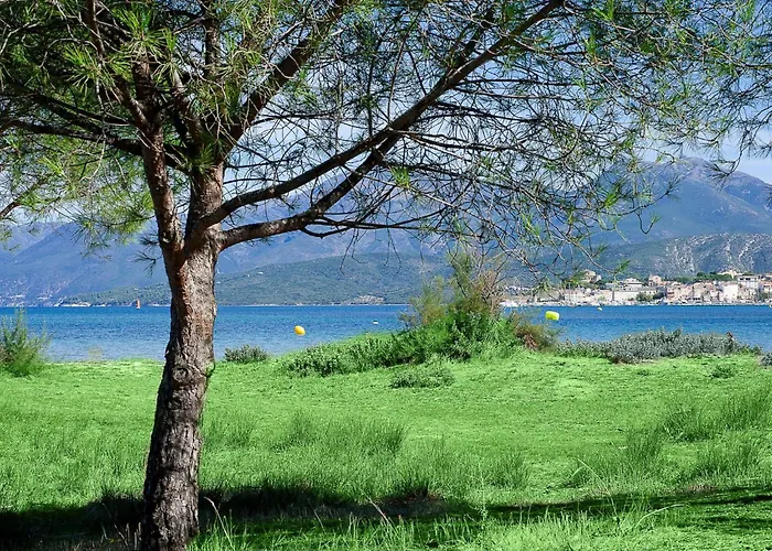 Suarella-1 By Interhome * Saint-Florent (Corsica)